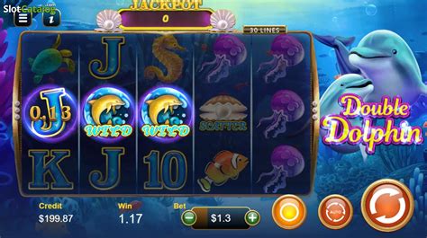 Double Dolphin Jackpot Review 2024