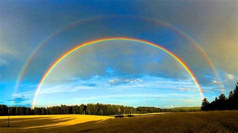 Double Rainbow Betfair