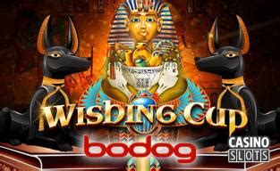 Dragon Wins 95 Bodog