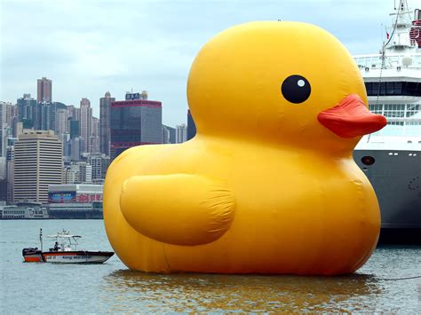 Ducky Duck Sportingbet