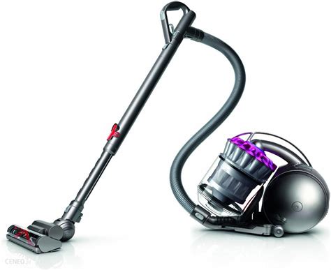 Dyson Dc37 Geant Casino