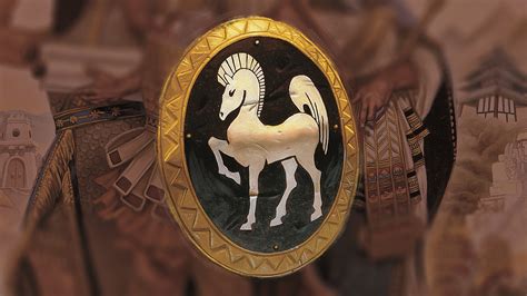 Empire Shields Betsul