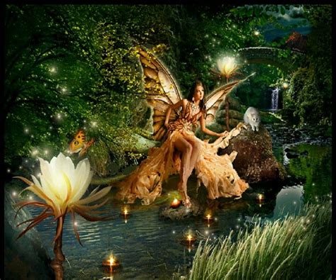 Fairy Gathering Brabet