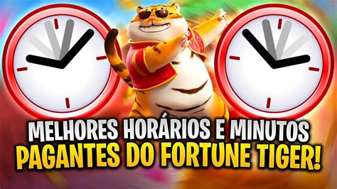 Fazer O Download Do Casino Temas Wordpress