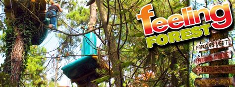 Feelings Forest Novibet