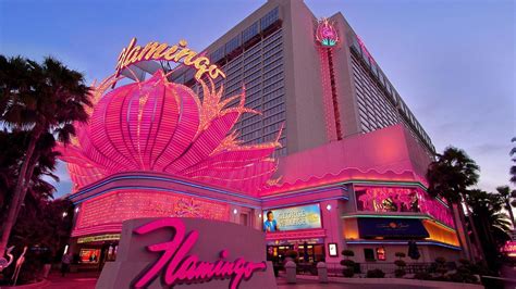 Flamingo Casino