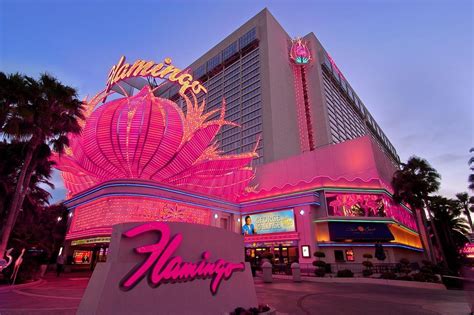 Flamingo Casino De Endereco Fisico