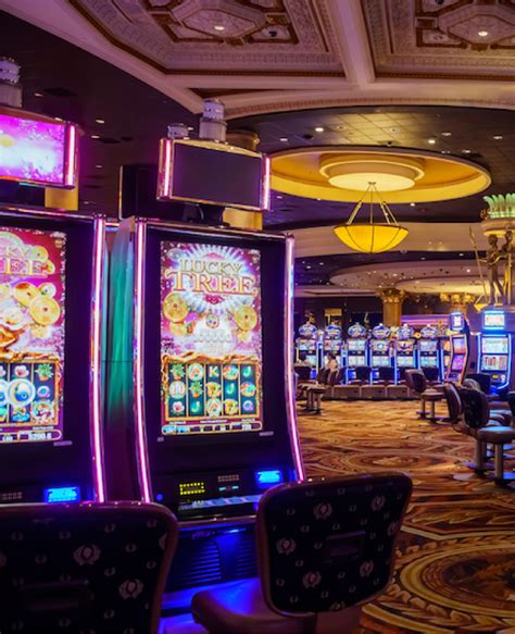 Foliatti Casino Review