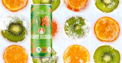 Funky Buddha Review 2024