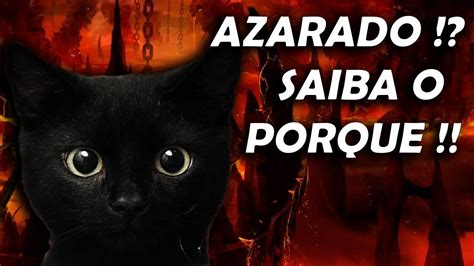 Gato Preto De Jogos De Azar