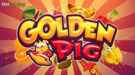 Golden Pig Review 2024