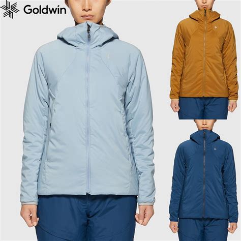 Goldwin S Review 2024