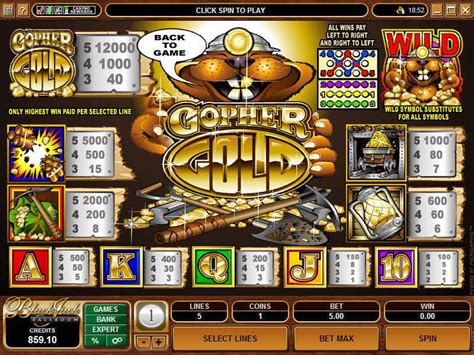 Gopher Gold 888 Casino