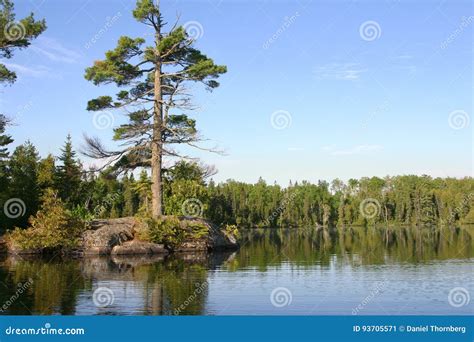 Grande Lago Pine Mn Limite De Fenda