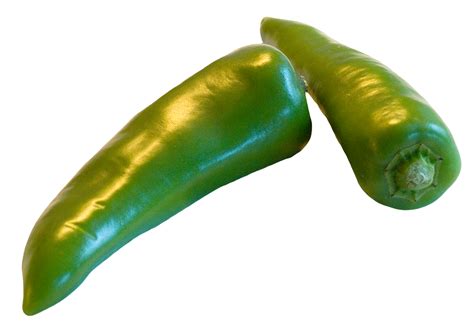 Green Chilli Bodog