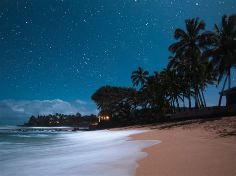 Hawaiian Night Bwin