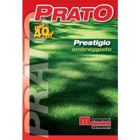 Holdem Prestigio Prato