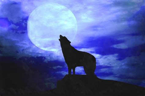 Howling At The Moon Sportingbet