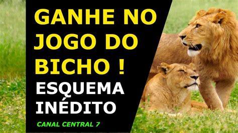 Jogar 12 Animals Com Dinheiro Real