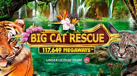 Jogar Big Cat Rescue Megaways No Modo Demo