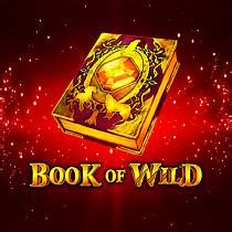 Jogar Book Of Wild No Modo Demo