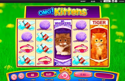 Jogar Omg Kittens Com Dinheiro Real