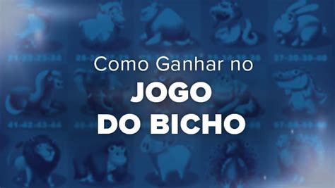 Jogo Do Bicho Bet365