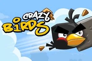 Jogue Crazy Birds Online