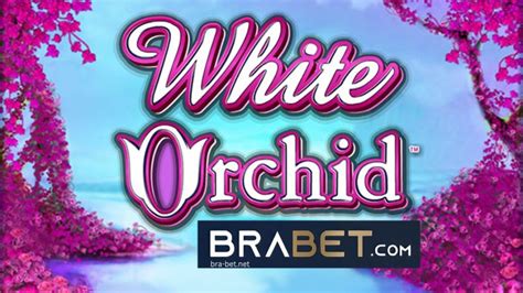 Jogue White Orchid Online