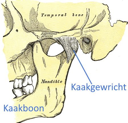 Kaak Op Slot Bij Gapen