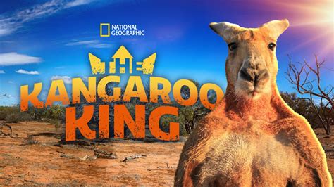 Kangaroo King Leovegas
