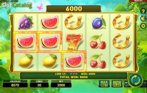 Lady Fruits 20 888 Casino