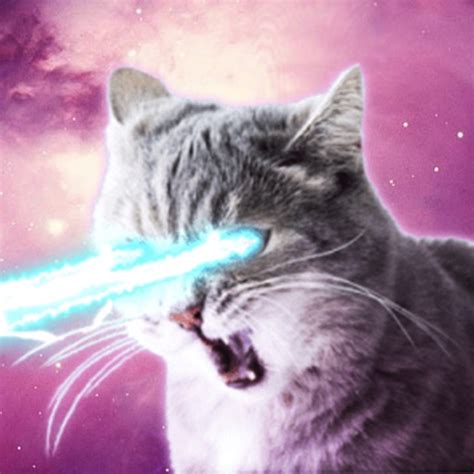 Laser Cats Bodog