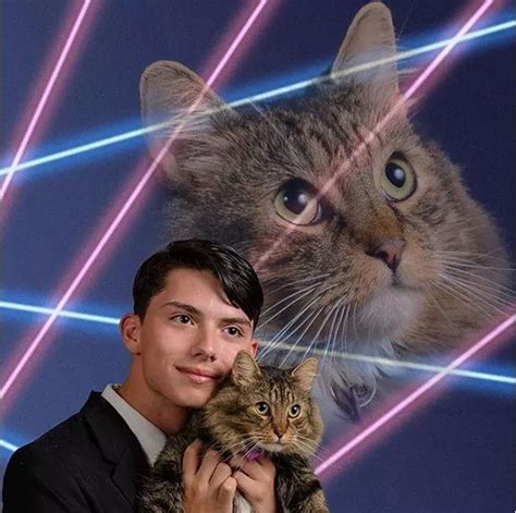 Laser Cats Review 2024