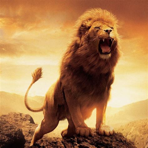 Lion S Roar Netbet