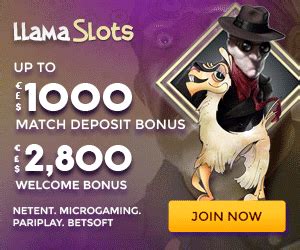 Llama Gaming Casino Nicaragua