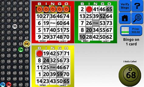 Lvd Casino Bingo