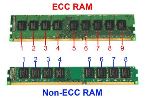 Mac Slots De Memoria Ecc Deficiencia