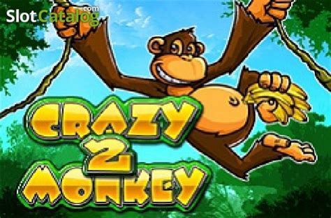 Mad Monkey 2 Review 2024