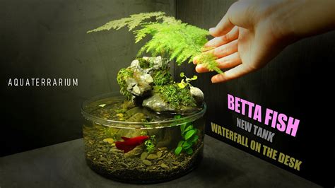 Magical Fish Tank Betsul