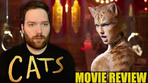 Magnificent Cats Review 2024