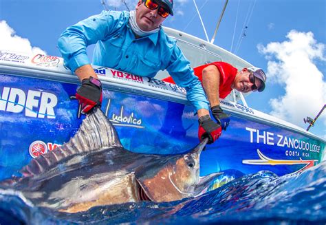 Marlin Catch Betano