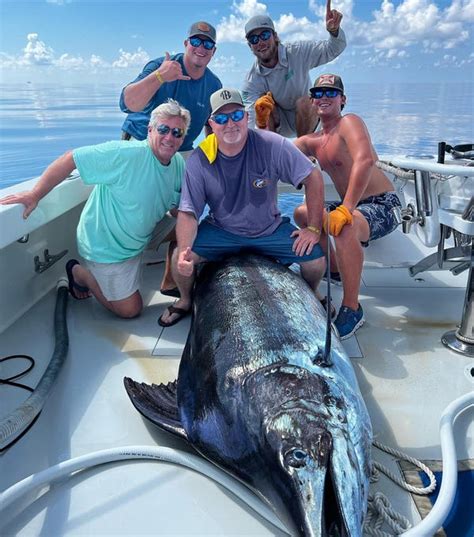 Marlin Catch Bwin