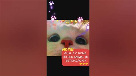 Melhor No Slot Wd Animal De Estimacao