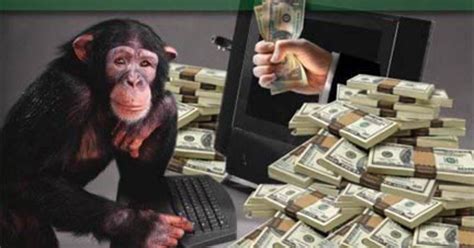 Money Monkey Bodog