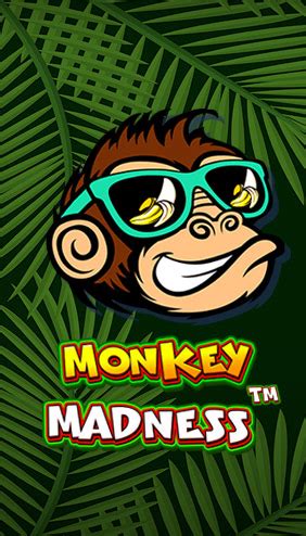 Monkey Madness 888 Casino