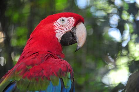 Monte Casino Parque Das Aves Horario De Funcionamento