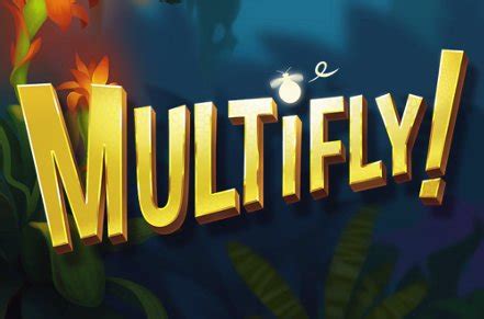Multifly Review 2024
