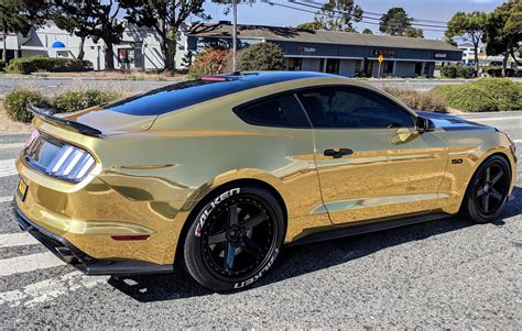 Mustang Gold Bodog