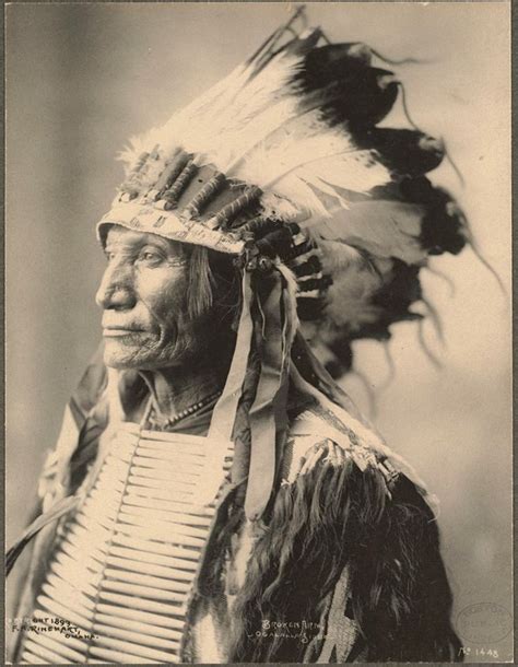 Native Indians Bodog